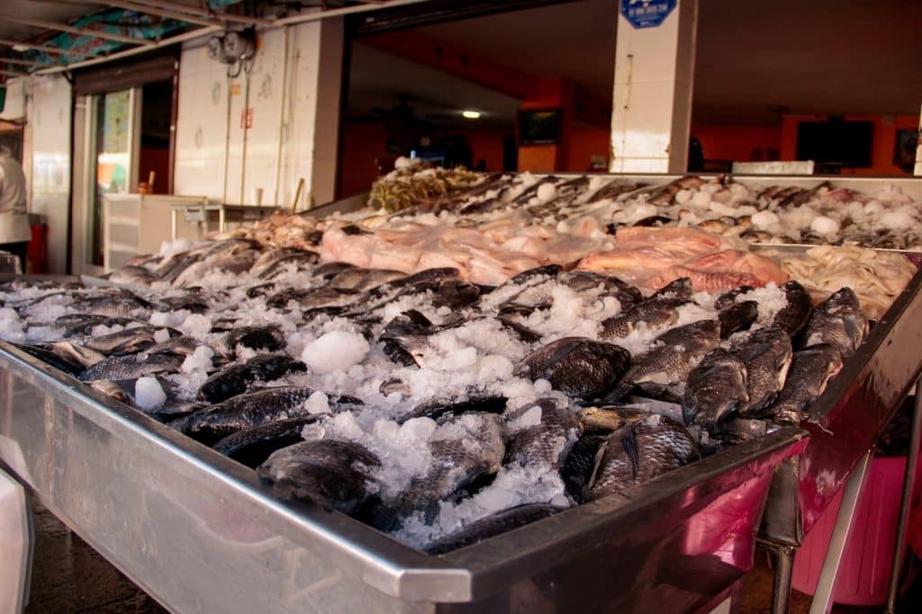Planean venta de hasta 10 toneladas de productos del mar en la séptima  feria del marisco en Zinacantepec - News Report MX