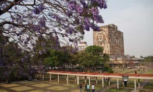 UNAM iniciará suspensión paulatina de clases el 17 de marzo