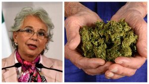 Sánchez Cordero pide no estigmatizar el uso de la marihuana