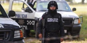 profesionalización en los protocolos de la actuación policial en México