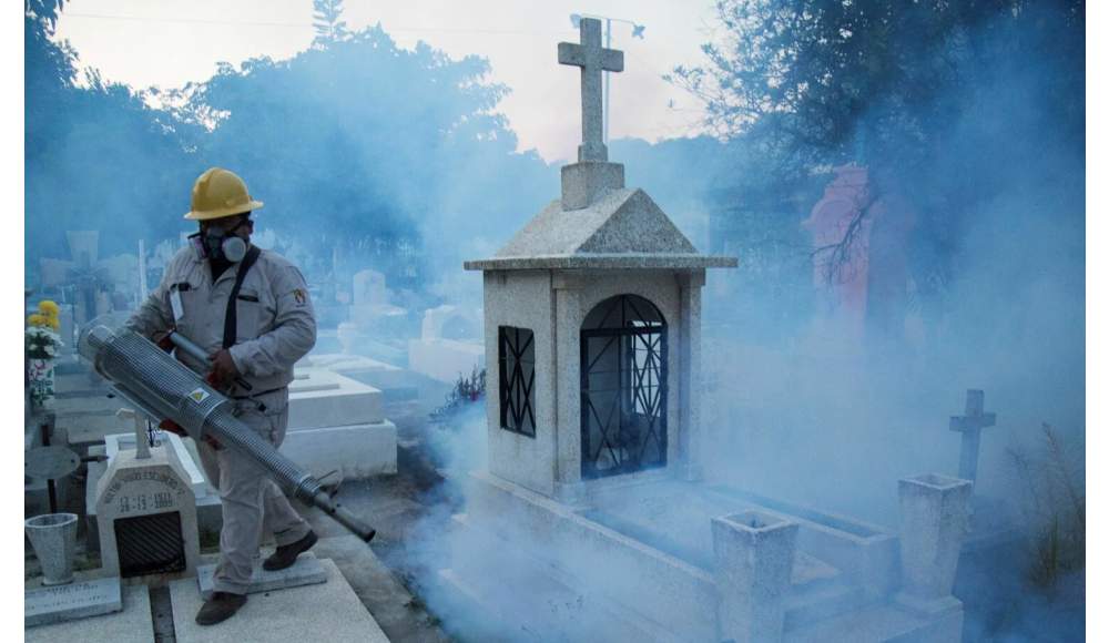 México reporta 11 defunciones y 2 mil 925 casos de dengue