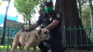 policías regalan apapachos en albergue de caninos