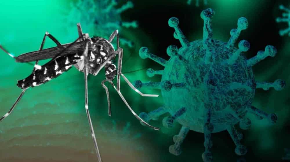 riesgo de "covi-dengue"