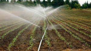 Conagua garantiza agua para ciclo agrícola en Chihuahua