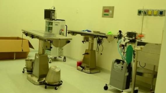 CDMX reapertura Hospital Veterinario