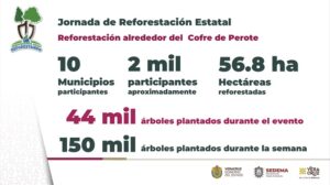 En zona del Cofre, 150 mil nuevos árboles para recuperar las fuentes de agua
