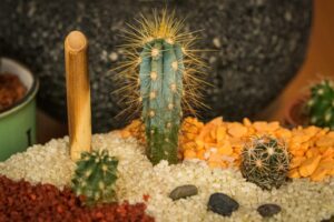 Invita Gobierno del EdoMex a disfrutar de ferias, festivales y exposiciones en territorio mexiquense