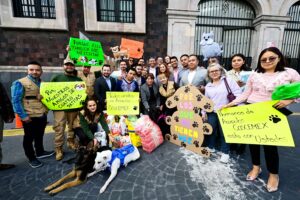 “Por los que no tienen voz”, Gobernadora Delfina Gómez enviará alimento para las mascotas afectadas por el huracán Otis