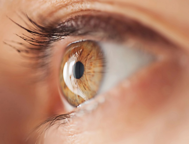La importancia de tratar el ojo seco: ¿cuáles son los beneficios de las gotas sin preservantes?