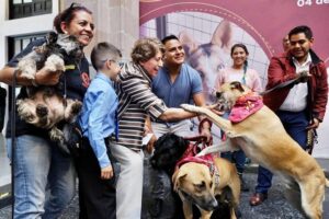El Gobierno de Delfina Gómez es punta de lanza en protección animal