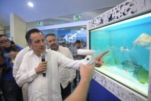 Ampliación y modernización posicionará al Aquarium de Veracruz como el mejor en América Latina