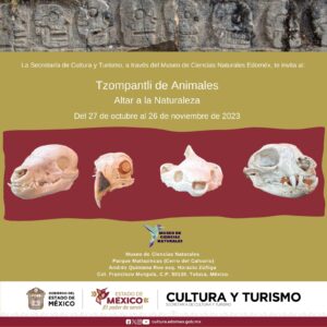 Museo de Ciencias Naturales del Estado de México ofrece un homenaje a los seres vivos con “Tzompantli de animales. Altar a la naturaleza”
