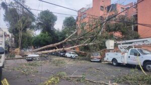 Alerta amarilla por vientos fuertes en la capital del país