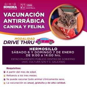 Invita Salud Sonora a la primera jornada de vacunación antirrábica canina y felina