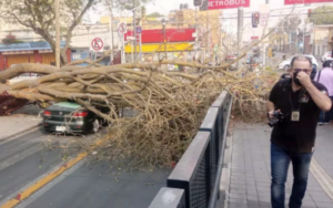 Alerta amarilla por vientos fuertes en la capital del país