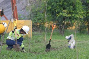 Cemex cultiva cientos de árboles para reforestar Monterrey